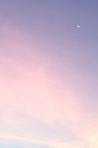 拜仁稳扎稳打，欧冠四强行程底气十足