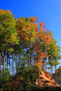 赛季收官战临近，冠军荣光，谁主沉浮？