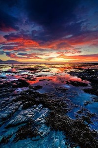 保加利亚队遭遇挫折，欧预赛艰难前行