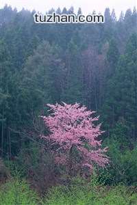 上港客场奏凯，积分榜上笑傲群雄