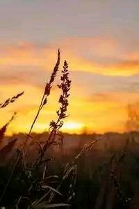 巴塞罗那备战下一场欧国联比赛，迎接新挑战