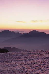 斯旺西城：乘风破浪，连胜之势点燃冲超梦想