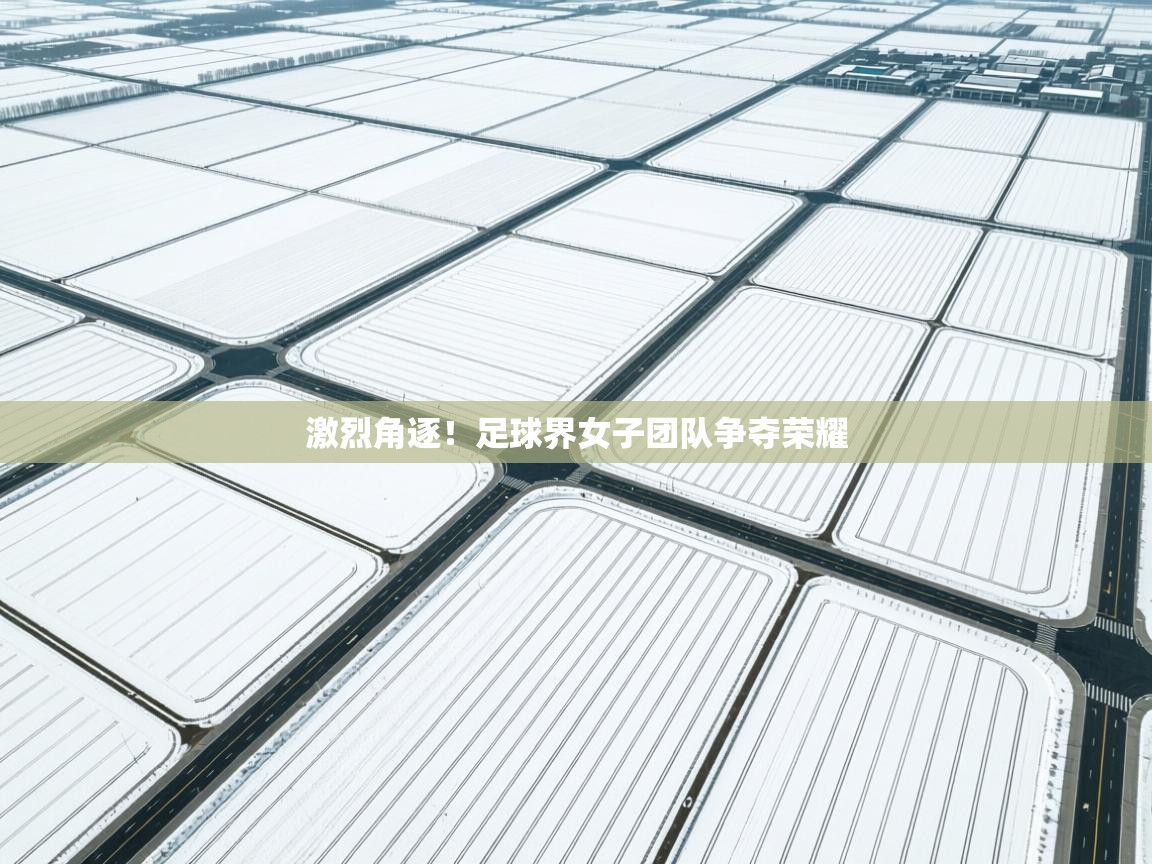 激烈角逐！足球界女子团队争夺荣耀