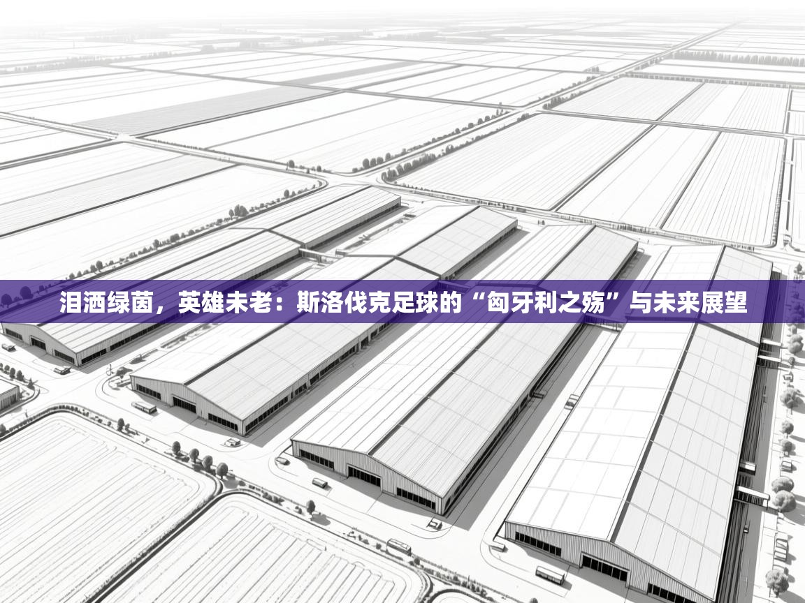 泪洒绿茵，英雄未老：斯洛伐克足球的“匈牙利之殇”与未来展望