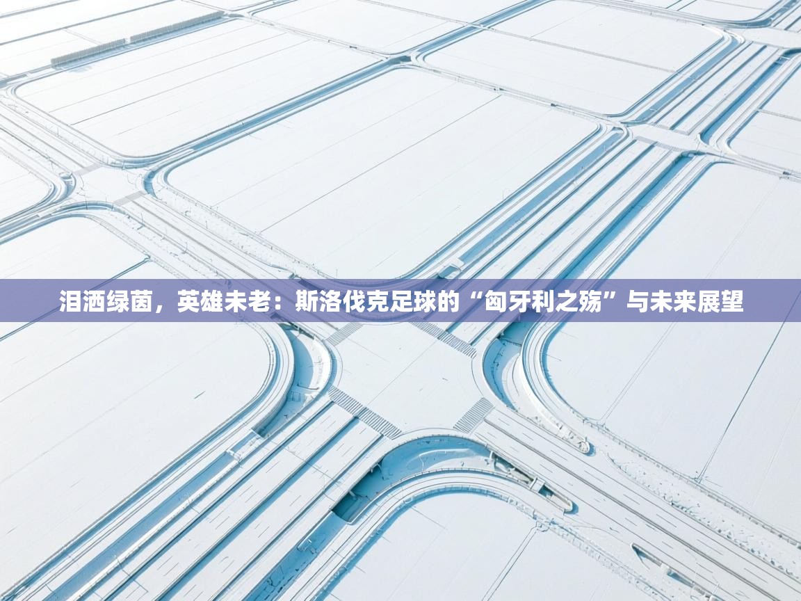 泪洒绿茵,英雄未老:斯洛伐克足球的“匈牙利之殇”与未来展望 第2张