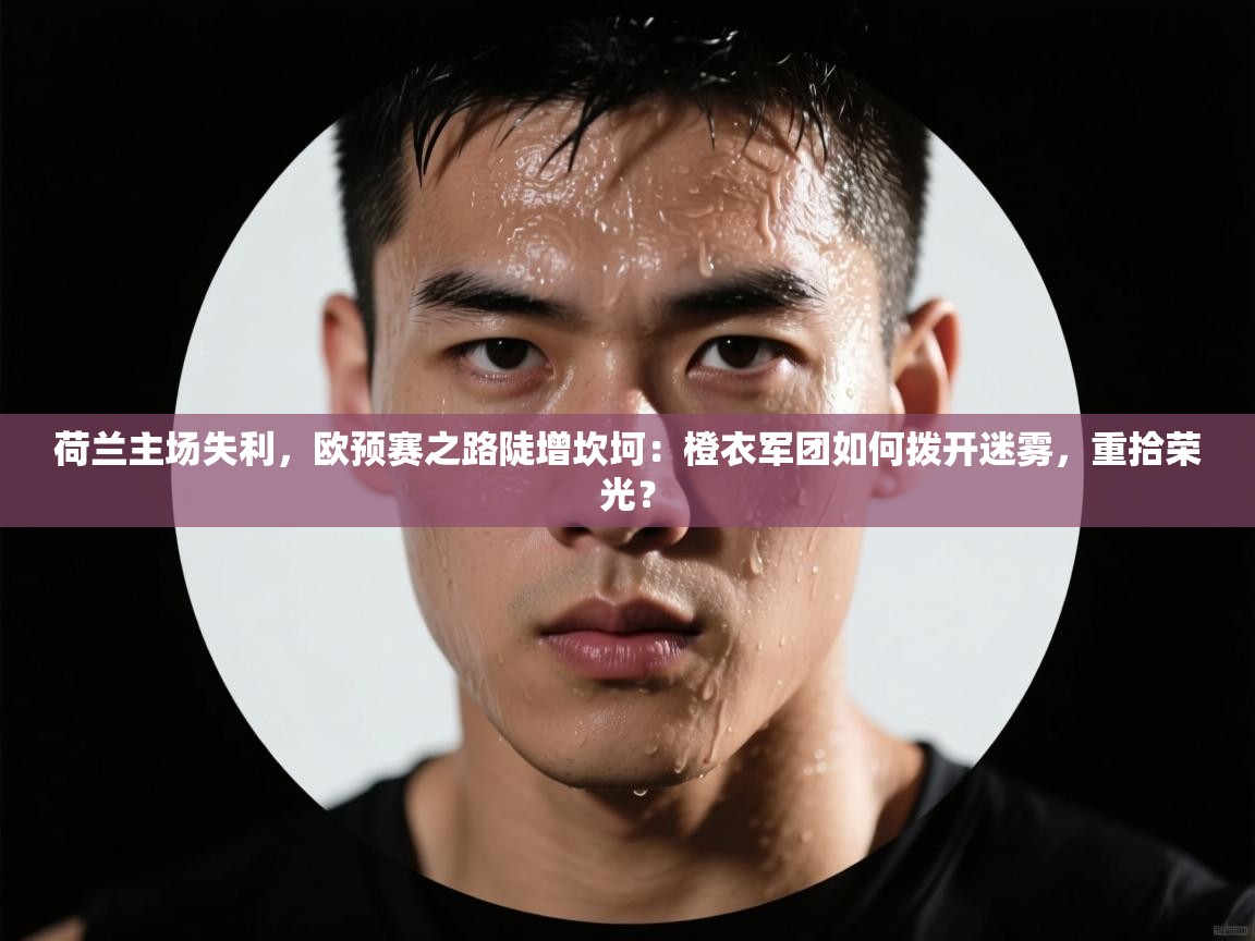 荷兰主场失利,欧预赛之路陡增坎坷:橙衣军团如何拨开迷雾,重拾荣光? 第1张