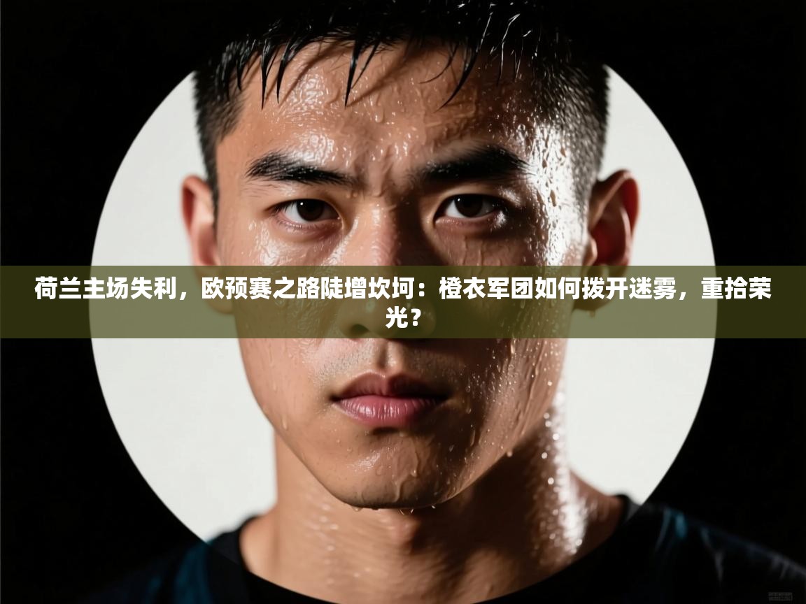 荷兰主场失利,欧预赛之路陡增坎坷:橙衣军团如何拨开迷雾,重拾荣光? 第2张